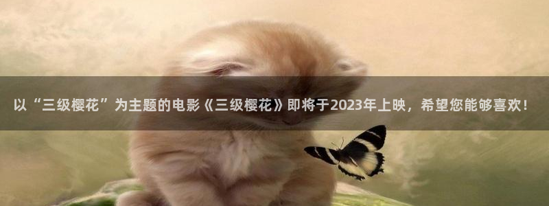 午马电影云飞跃