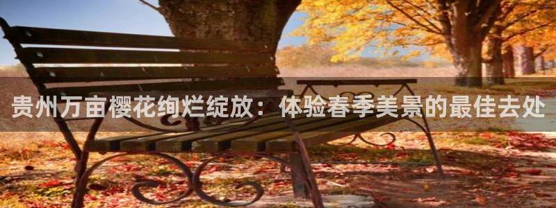 星空影视app官方免费下载