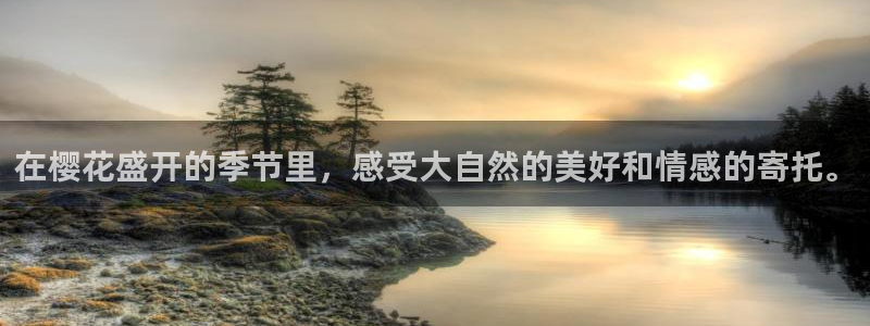 星空mv高清在线播放