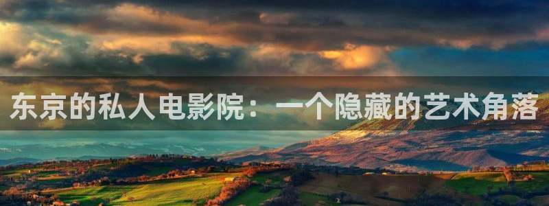 星空mv视频免费观看
