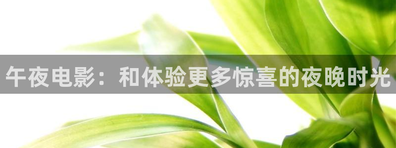 星空影视网免费观看