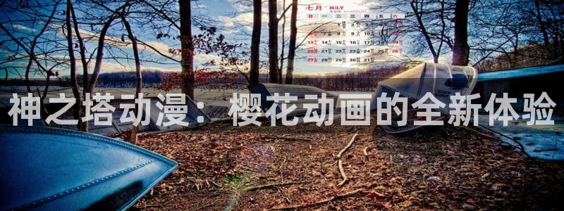 星空影视app下载
