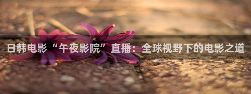午马电影在线播放