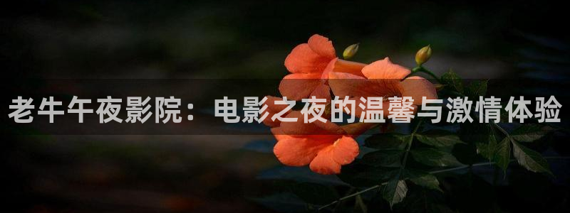 星空照