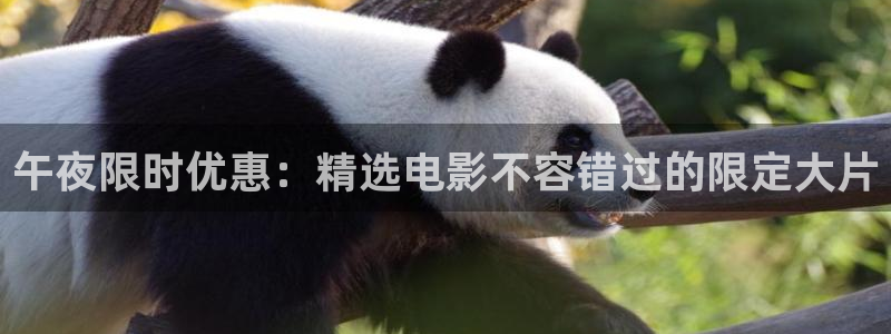 午马电影电视剧在线观看大全