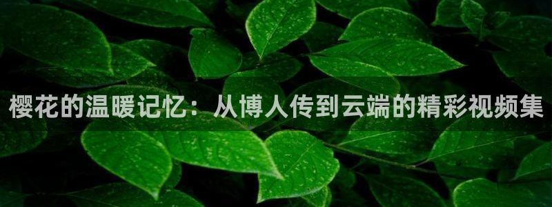 我们的日子午马电影