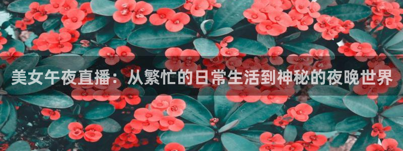 星空电影台