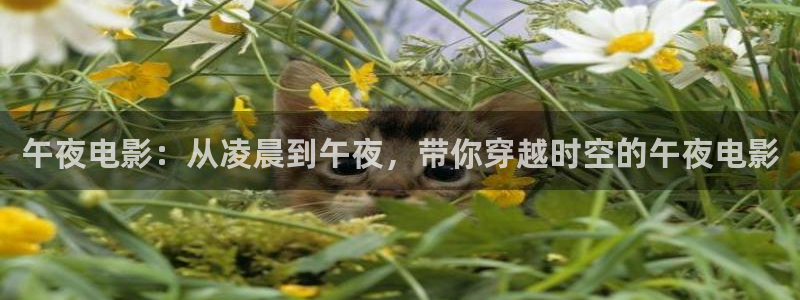 星空影城电影放映表
