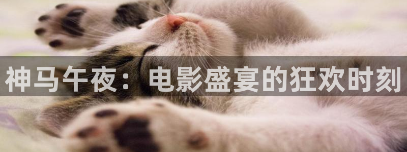 午马电影论语
