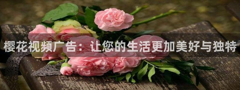 星空影视电视剧观看