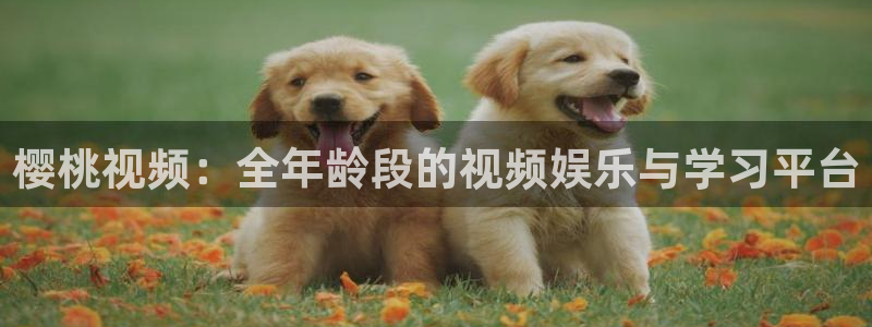 星空视频影视大全免费观看高清