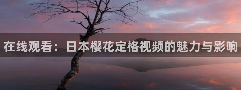 午马电影免费观看电视剧影视大全