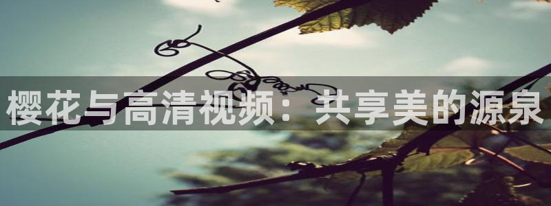 星空传媒免费观看电影