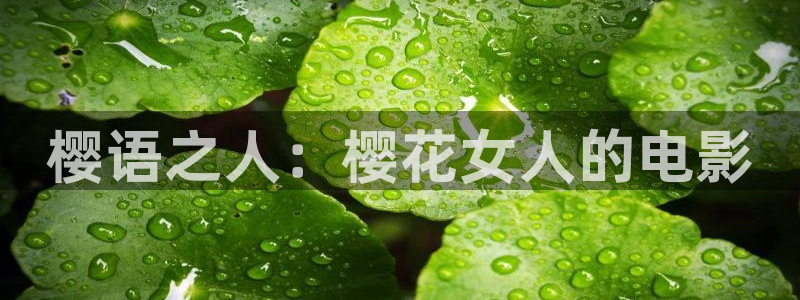 星空视频在线观看完整
