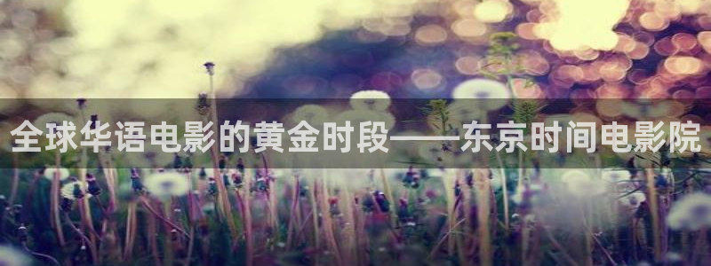 免费观看午马电影