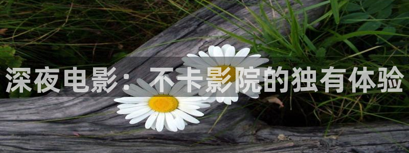 关于星空的电影有哪些