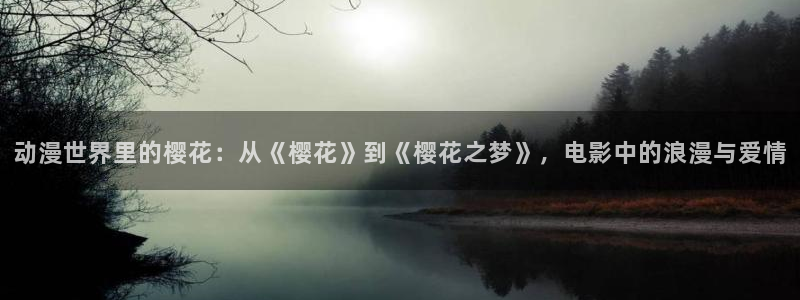 星空影视电视剧免费播放