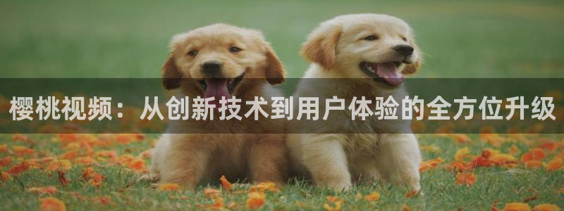 午马电影电视剧免费大全最新