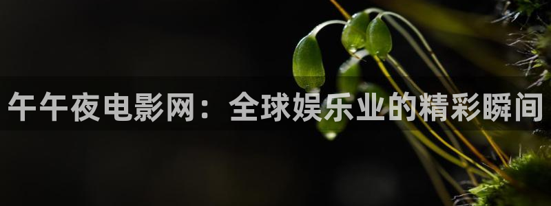 星空传媒在线观看