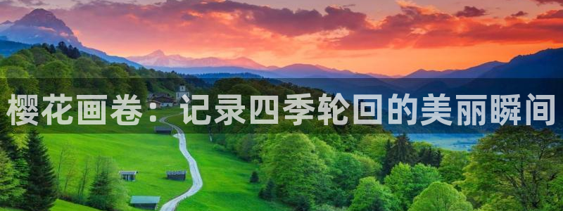 重庆午马电影