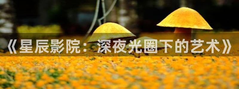 外出2午马电影